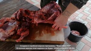 Как разделать бобра. Нож "Кухонный средний-2", сталь Х12МФ . Завод ножей "Лемакс" г. Павлово