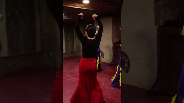 Перед концертом?новий відбудеться 14 лютого 2023 р. #фламенко #фламенкокиїв #flamenco смотреть онлайн