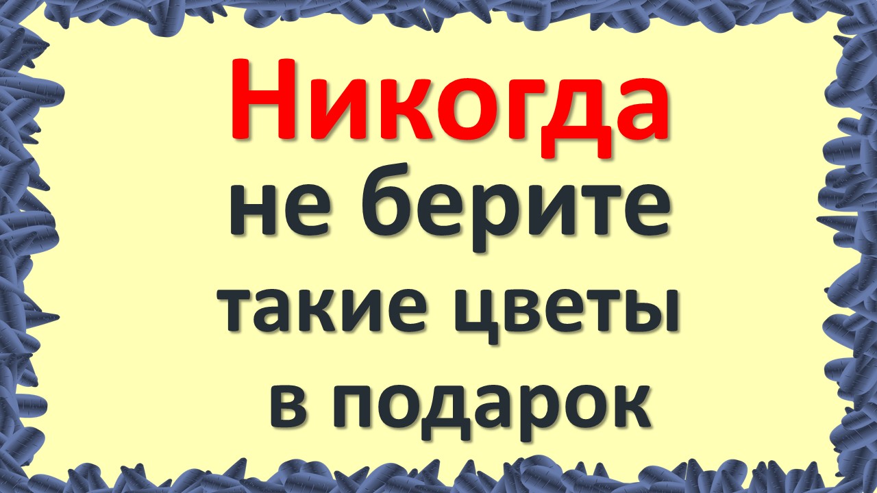 Не совершайте этой ошибки! Никогда не принимайте эти комнатные растения и цветы в подарок