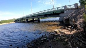 Рыбалка на реке Малая Невка. Фидер. Ловля подлещика.