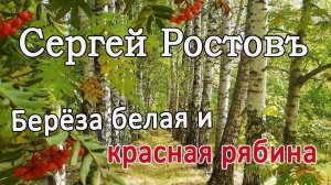 Сергей Ростовъ - Берёза белая и красная рябина