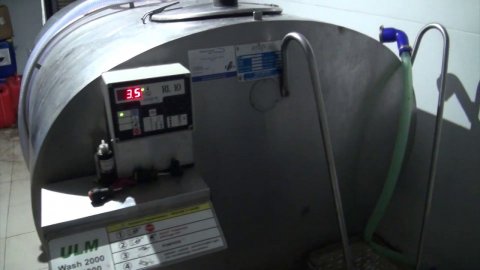 Доильный зал КФХ "Герефорд" 8 месяцев спустя