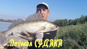 Трофейный судак! Наконец-то я его поймал!