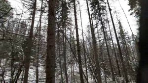 Промысел продолжается/ Жизнь в тайге/ Охота на соболя. 13 серия!