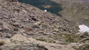 14.08.2024 альпы