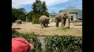 Zoo  Hellabrunn  Munich...ミュンヘン動物園Hellabrunn