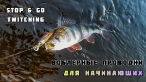Воблерные проводки stop & go и twitching, выбор места для рыбалки на спиннинг с лодки для начинающих
