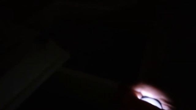 Инкубация перепелиных яиц смотреть онлайн