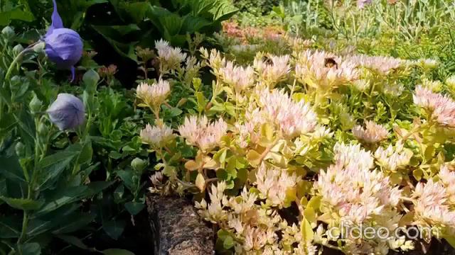 Отрывок из книги:"Вместе навсегда".Автор Эсмира Изумрудная. смотреть онлайн