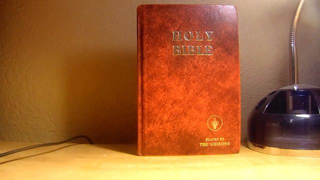 Май 2015 Ответы на Вопросы на русском и английском языке смотреть онлайн