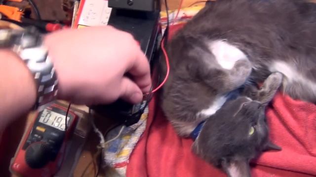 Про восстановление AGM аккумуляторов ?(заливаем чистую воду) смотреть онлайн