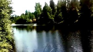 РЕКА, ЛЕТО, ДОРОГА, ЛЕС. ФУТАЖИ ДЛЯ ВИДЕОМОНТАЖА.