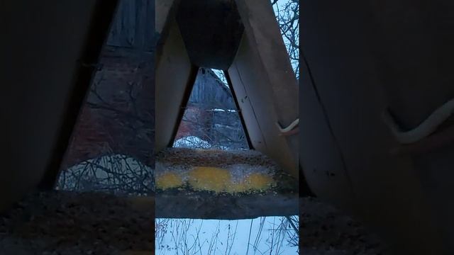 Зимняя сказка, как птицам и животным выжить в лютые морозы, мороз, снег, сугробы. смотреть онлайн