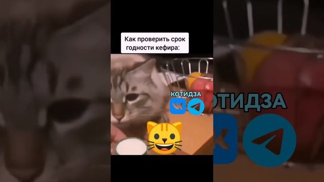 как проверить срок годности продукта