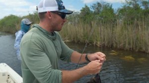 Catching 100's of Everglades Fish! (HUGE Mistake)