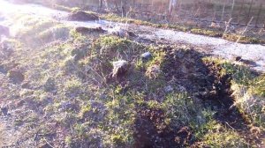 Старый Шерегеш! Равнодушие администрации посёлка!