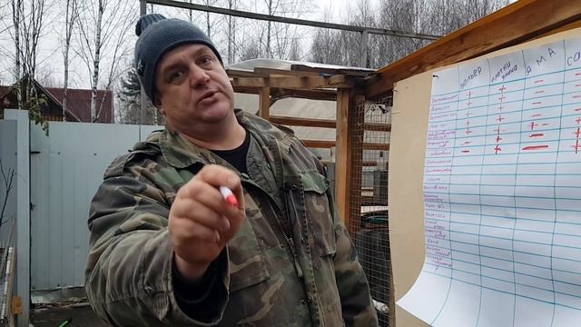 ЧЕТЫРИ СПОСОБА СОДЕРЖАНИЯ КРОЛИКОВ// КЛЕТКИ ЯМА САРАЙ ВОЛЬЕР смотреть онлайн