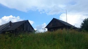 Жизнь в глуши. День 74. Заброшенная вдовья деревня. Часть 1.
