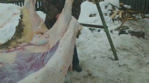 ПРОЦЕСС СНЯТИЯ ШКУРЫ С БЫКА. БОЛЬШОЙ БЫК