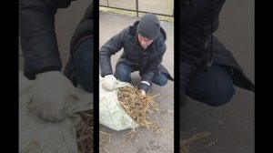 Как сделать чучело на масленицу #славянскийлайфхак