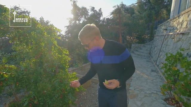 Продажа дома в пгт Береговое, Ялта. Яркий дом, бассейн, SPA, участок 25 соток