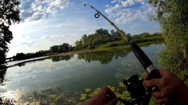 Рыбалка на ДОНКУ 2020 Утренняя рыбалка на болтушку КРУПНАЯ ПЛОТВА НА КУКУРУЗУ смотреть онлайн