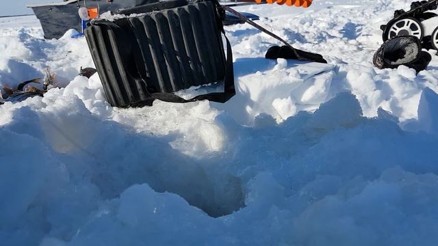 ТРОФЕЙНЫЕ ОКУНИ ПРОСТО НАДОЕЛИ. Зимняя рыбалка в ХМАО смотреть онлайн