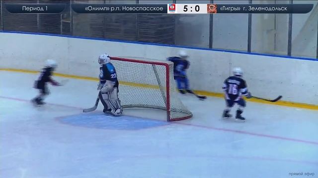 "Олимп" р.п.. Новоспасское - "Тигры" г. Зеленодольск смотреть онлайн