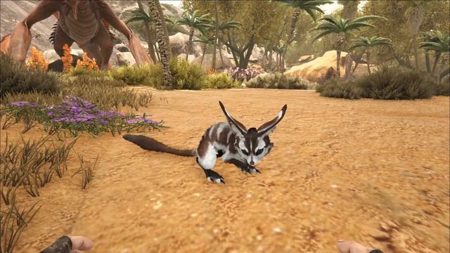 Тушканчик (Jerboa) в АРК. Лучший обзор: приручение, разведение и способности в ark. смотреть онлайн