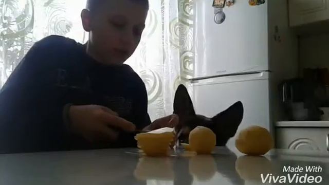 Способ как сделать чипсы дома!! смотреть онлайн