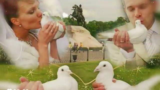 Свадебные голуби ав Е Ступишин смотреть онлайн