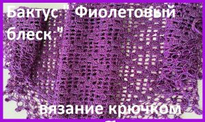 Бактус " Фиолетовый блеск" вязание крючком.