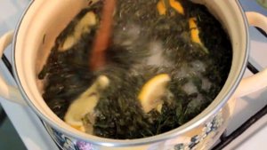 МЯТНЫЙ СИРОП / варенье из перечной МЯТЫ? Mint Syrup / Peppermint Jam