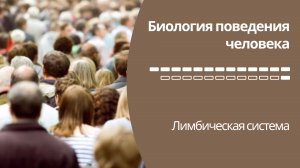 Биология поведения человека Лекция #14. Лимбическая система [Роберт Сапольски, 2010. Стэнфорд]