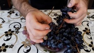 Какой виноград вкуснее - Кардинал или чёрный? Как дядя Миша покупал правильный виноград в магазине.