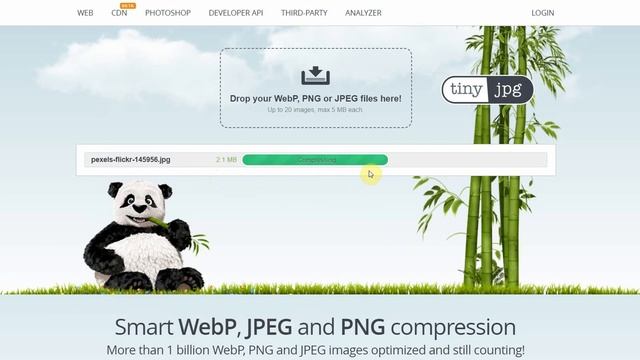 How To Compress Images Without Losing the Image Quality