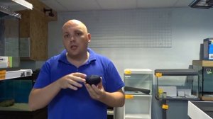 Вабикуса для аквариума