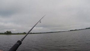 Ловля окуня на пилькер и сома на квок. Видео отчет от 9.08.2015 г.