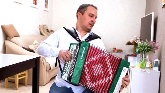 Цыганочка. Начинающий гармонист.