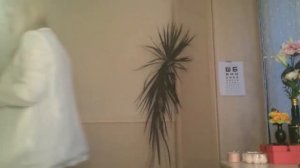 Настя Летова Асмр видео Приём у окулиста