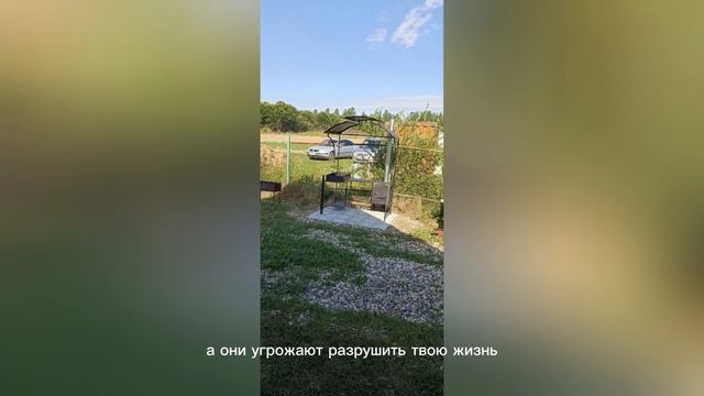Мангал "Арарат-1б с печкой" по т.8-495-764-44-02 или https://mos-mangal.ru/?p=26314
⠀