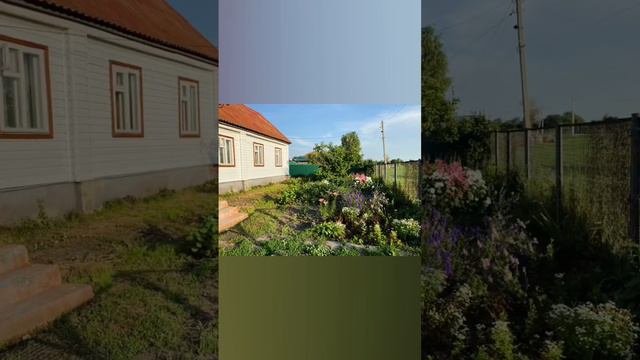 Продаётся дом со всеми коммуникациями в селе Большие Можары Сараевского района Рязанской области. смотреть онлайн