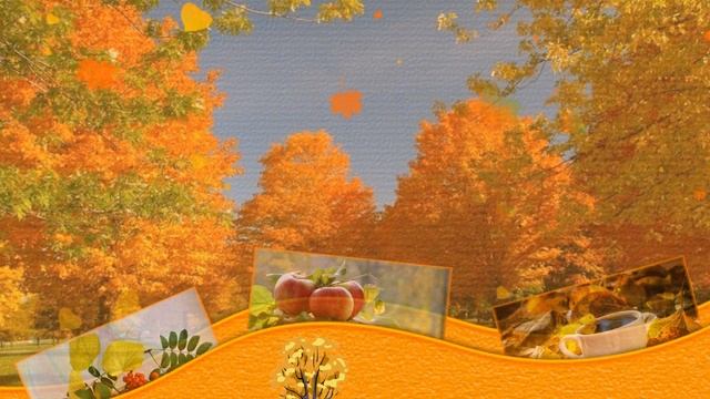 Осенняя сказка! смотреть онлайн