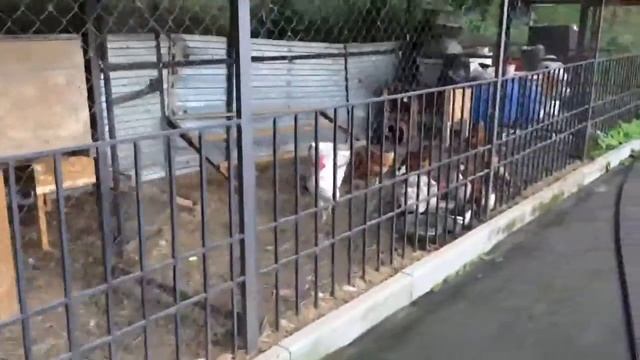Платная рыбалка в Машково