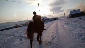 Как ездить рысью на лошади.