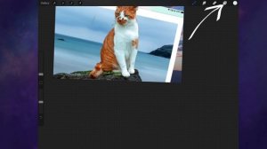 Absolute Beginners Guide to Procreate 5.0 Photomanipulation