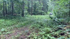 ГАЗ 3308 Садко / Встретили на труднопроходимой лесной глухой дороге / Супер проходимость