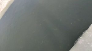 ??Замор рыбы??на озерах? Урала??? Огнёво Оз.Б.Куяш Рыбалка? 04.2022.