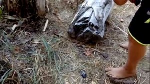 МИДИИ 5 способов открыть без ножа