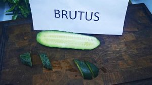 Огурец Брутус F1